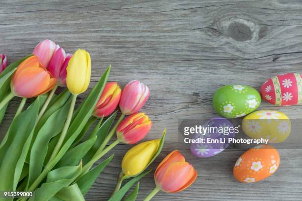 easter eggs and tulips - easter flowers stock-fotos und bilder