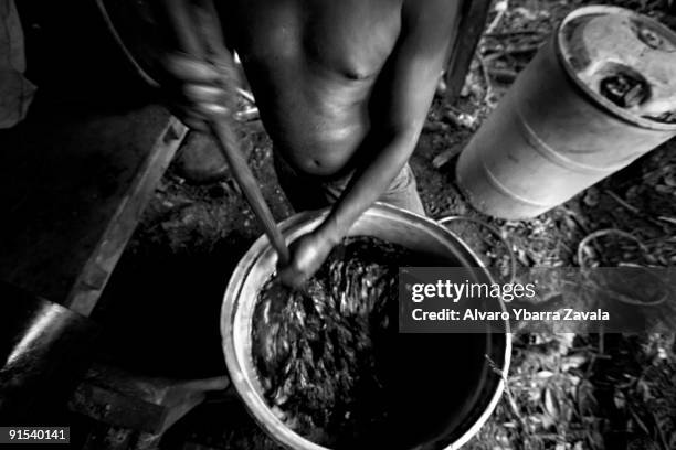 Hidden coca lab inside the jungle, under the control of FARC guerrillas. Here a worker mixes the coca leaves with chemicals.