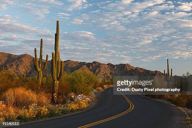 two lane road weaves through the desert - phoenix arizona stock pictures, royalty-free photos & images