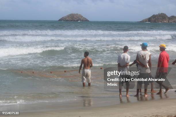 fishermen pulling in the nets at the beach - sandy alvarado stock pictures, royalty-free photos & images