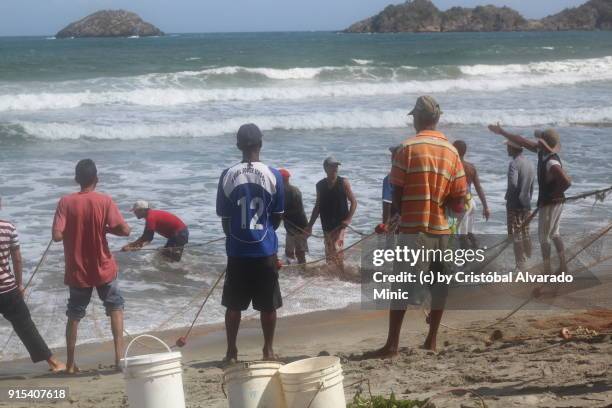 fishermen pulling in the nets at the beach - sandy alvarado stock pictures, royalty-free photos & images