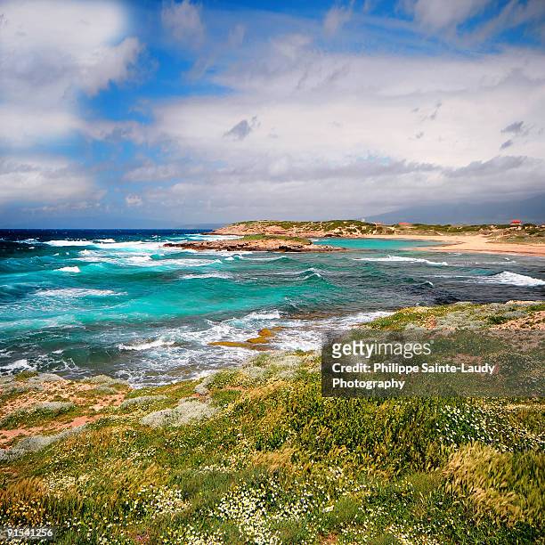 emerald sea - sainte-laudy photos et images de collection