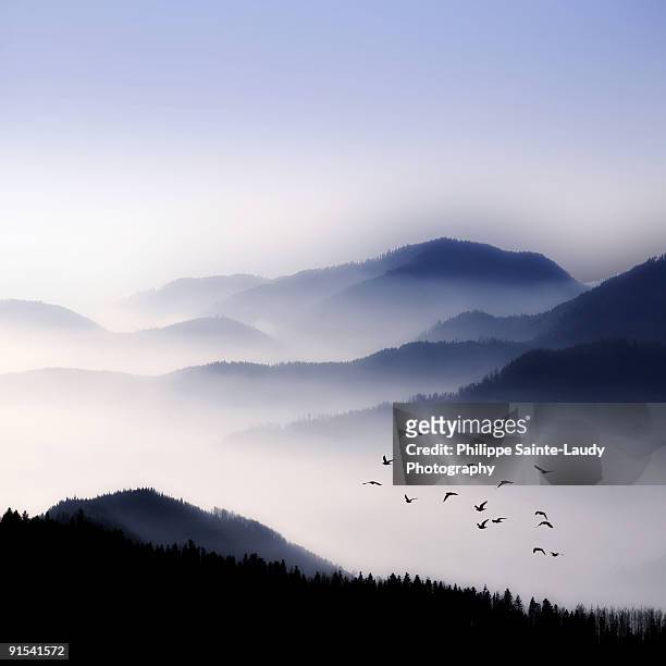 flying over the fog - sainte-laudy photos et images de collection