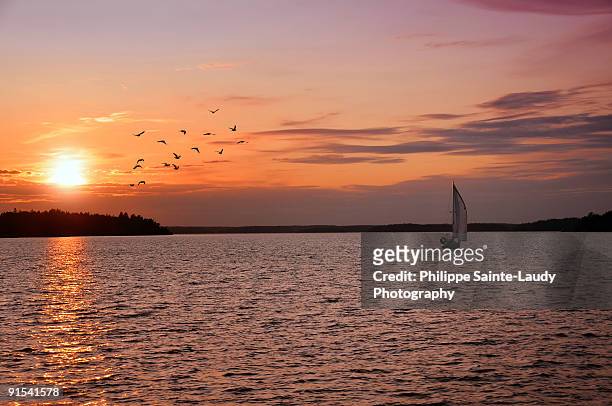 sailboat with sunset, birds and sun. - sainte-laudy photos et images de collection