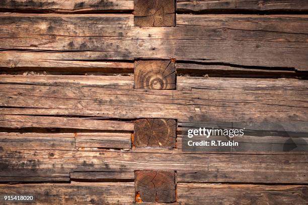 log wall texture - boomstam stockfoto's en -beelden