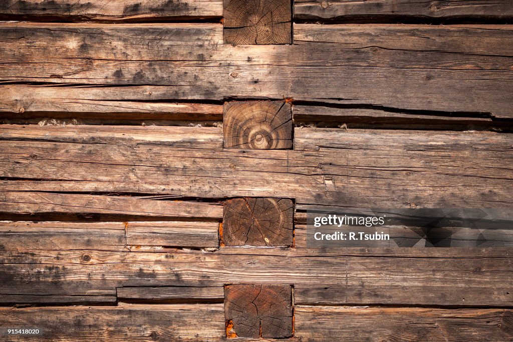 Log wall texture