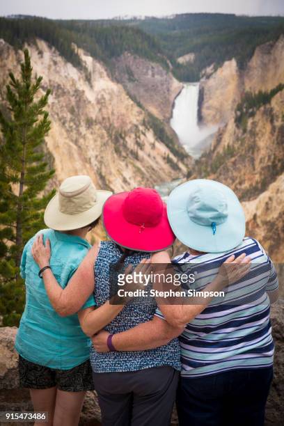 family at waterfall at yellowstone national park - river bottom park stock pictures, royalty-free photos & images