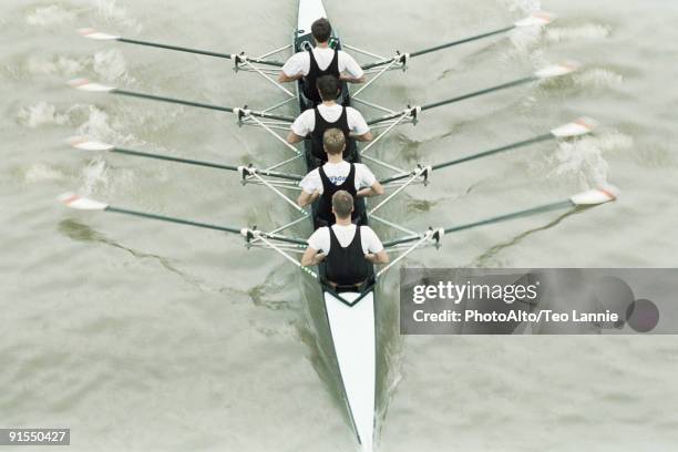 Top Down Rowing Scull 80 Rowing Team Top View Stock Photos, High-Res Pictures, and Images ...