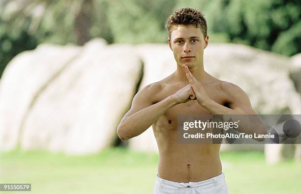 male practicing martial arts in park setting, front view - kung fu pose stock pictures, royalty-free photos & images