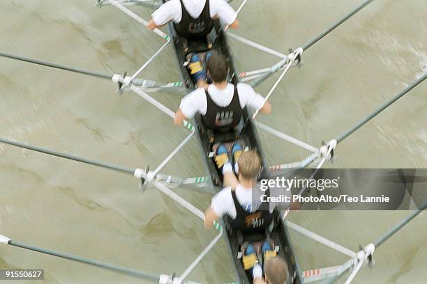 Top Down Rowing Scull Rowing Team Top View Photos and Premium High Res Pictures - Getty Images