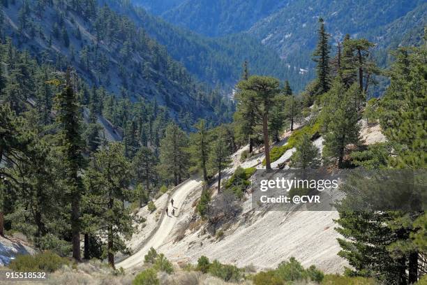 view from mount baldy - mount baldy stock pictures, royalty-free photos & images