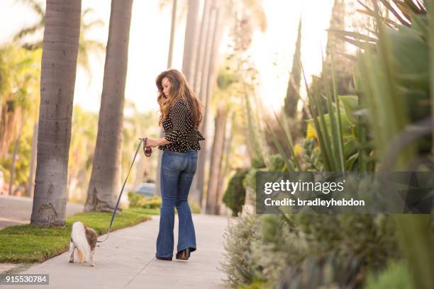 asiatisk kvinna tar sin senior shih tzu hund på en promenad - leksakshund bildbanksfoton och bilder
