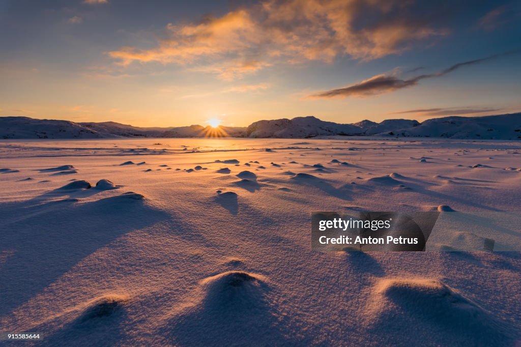 Arctic tundra at sunset