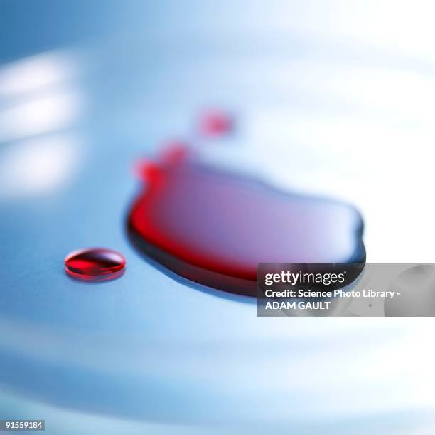 blood in petri dish - hematology 個照片及圖片檔