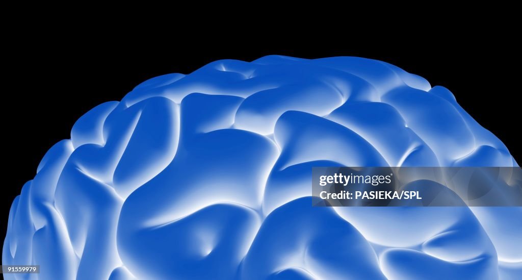 Human brain