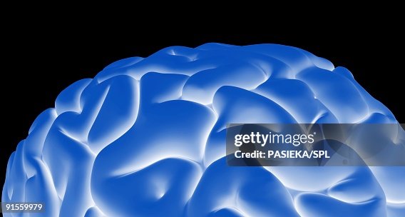Human brain Human brain