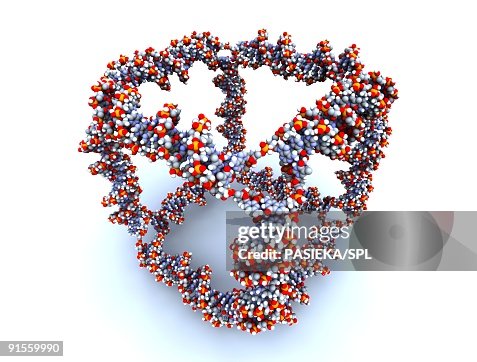 DNA (Deoxyribonucleic Acid) cube DNA (Deoxyribonucleic Acid) cube