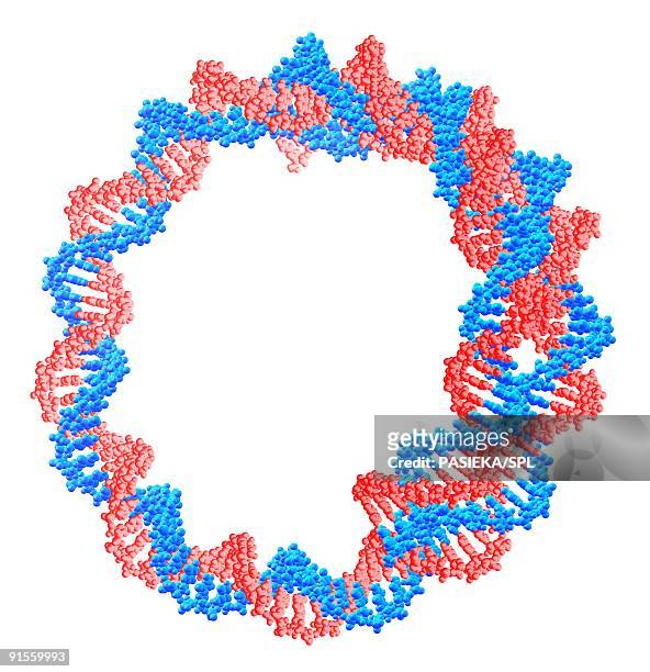 circular dna (deoxyribonucleic acid) molecule - guanine stock illustrations