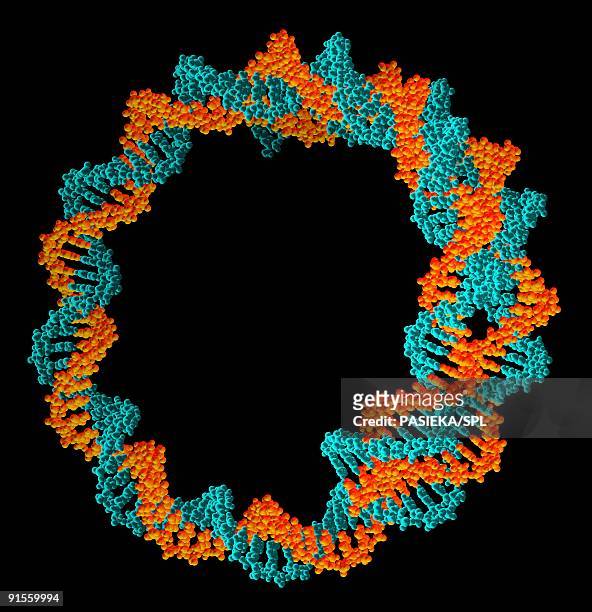 circular dna (deoxyribonucleic acid) molecule - adenine stock illustrations