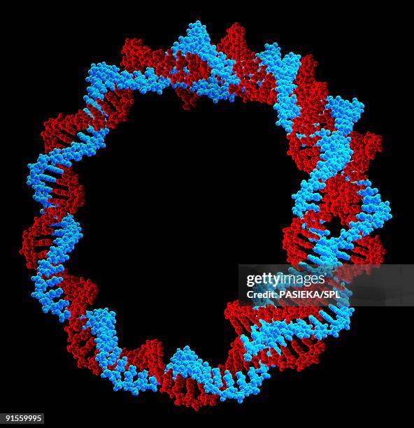 circular dna (deoxyribonucleic acid) molecule - adenine stock illustrations