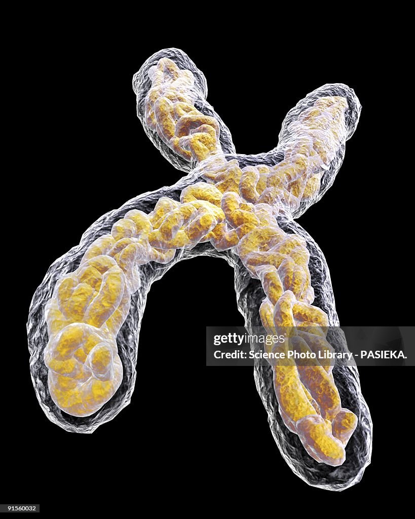 Chromosome