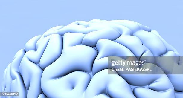human brain - cerebral cortex stock-grafiken, -clipart, -cartoons und -symbole