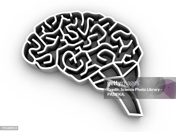 brain complexity - neuroscience stock illustrations