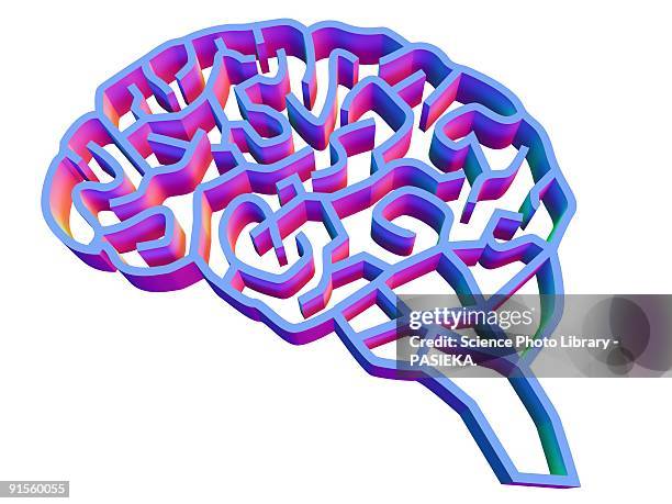 brain complexity - human brain stock illustrations