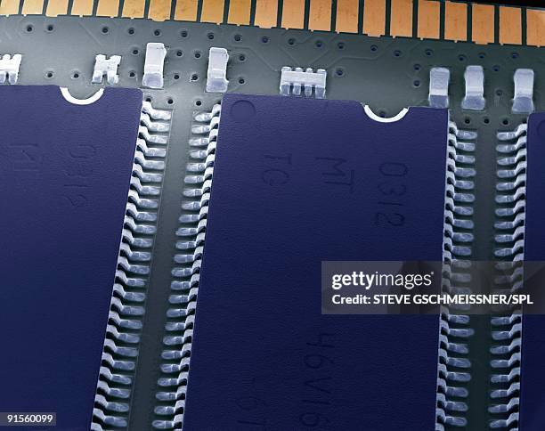 Sem Microchip 19 Sem Microchip Stock Photos, High-Res Pictures, and Images - Getty Images