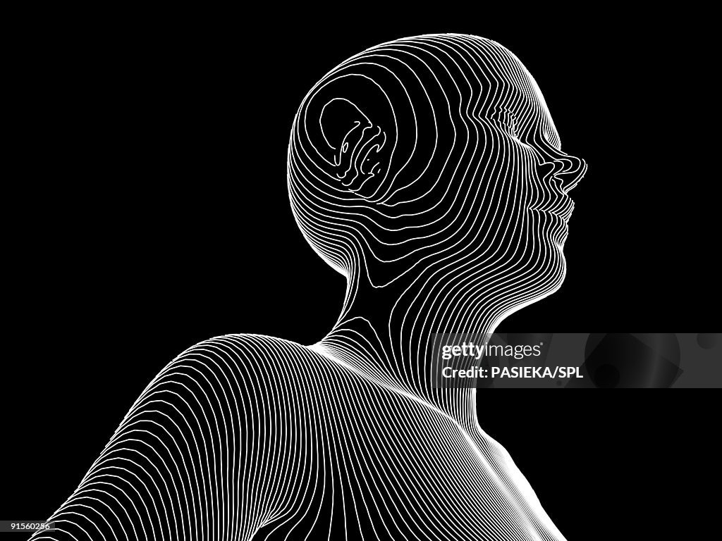 Obdo Contour Female Body Contour Map High-Res Vector Graphic - Getty Images