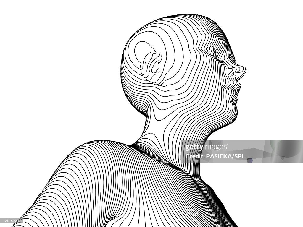 Obdo Contour Female Body Contour Map High-Res Vector Graphic - Getty Images