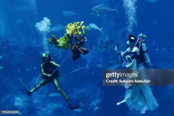 Diver performs an underwater dragon dance performance with a 'Sea Goddess' at the S.E.A Aquarium Open Ocean Habitat at Resorts World Sentosa on...