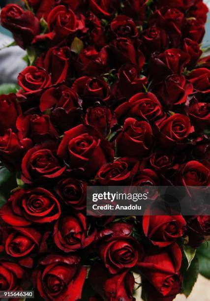 Bundle Of Roses 358 Bundle Of Roses Stock Photos, High-Res Pictures, and Images - Getty ...