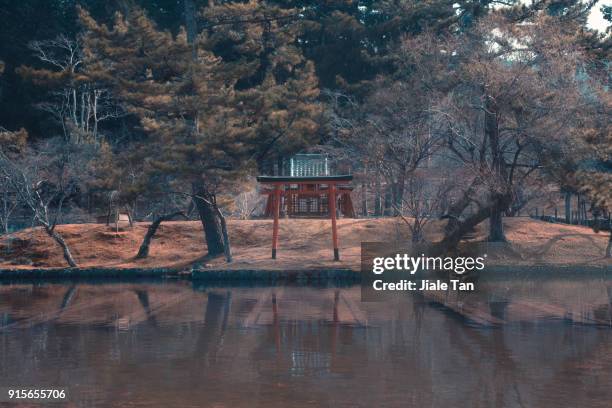 torii gate - osaka shrine stock pictures, royalty-free photos & images