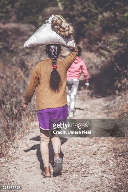 portrait of indian village girl carrying a rice bundle and vegetable bag on her head - child labor stock pictures, royalty-free photos & images