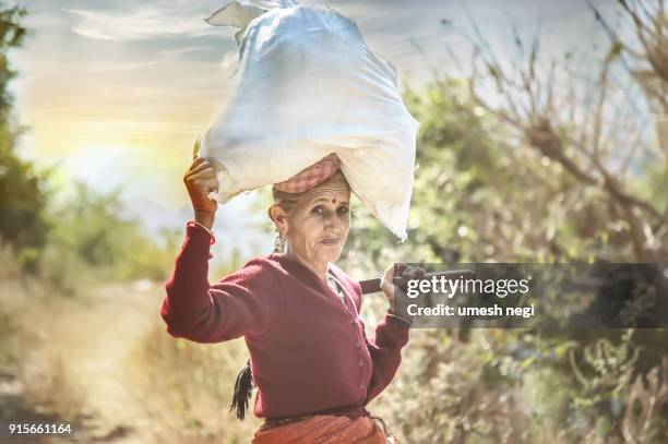 Silage Bag Photos And Premium High Res Pictures Getty Images silage-bag-photos-and-premium-high-res-pictures-getty-images