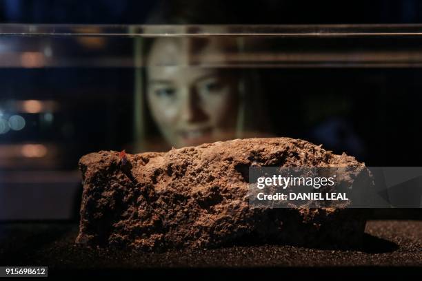 Museum employee poses behind a piece of fatberg, a congealed lump of fat, sanitary napkins, wet wipes, condoms, diapers and similar items found in...