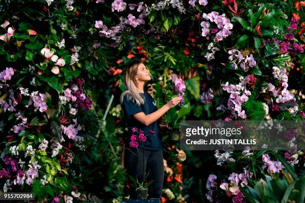 An employee poses with an orchid display during a photo call for the 'Orchid Festival' at the Royal Botanic Gardens in Kew, west London on February...