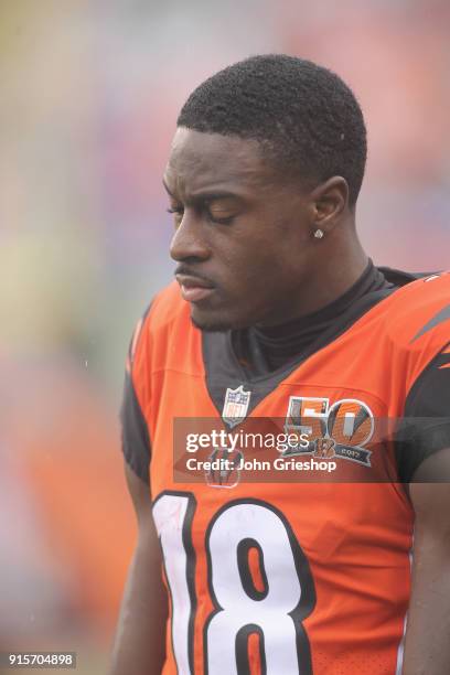 Green of the Cincinnati Bengals takes a break on the sidelines during the game against the Buffalo Bills at Paul Brown Stadium on Ocotbe 8, 2017 in...