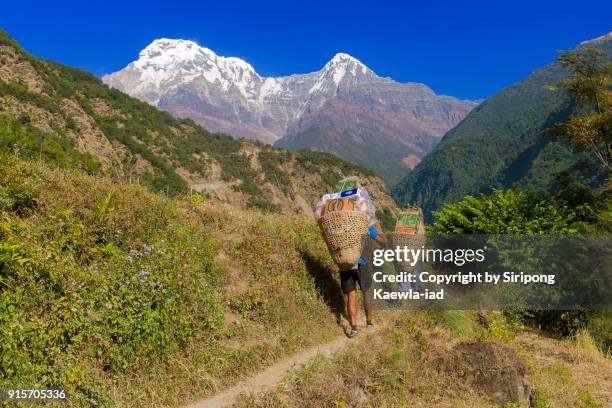 two nepali porters are carrying necessary stuffs to villages near the annapurna conservation area, nepal. - annapurna conservation area fotografías e imágenes de stock