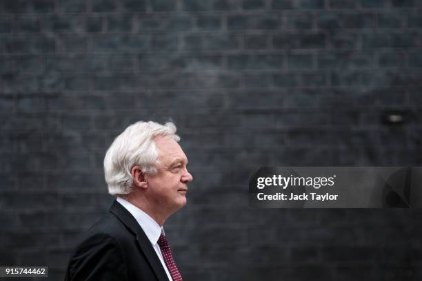 Brexit Secretary David Davis leaves Number 10 Downing Street following a Brexit sub-committee meeting on February 8, 2018 in London, England. British...