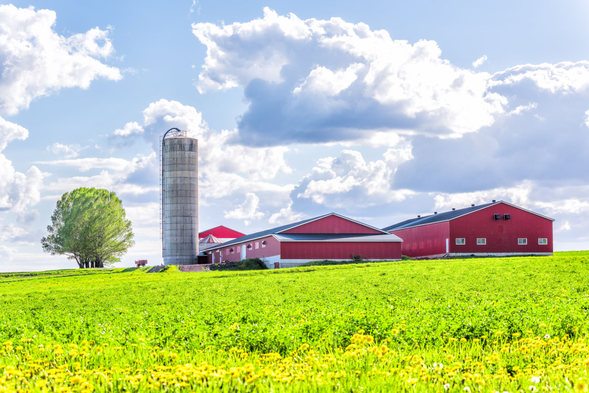 farm infrastructure maintenance