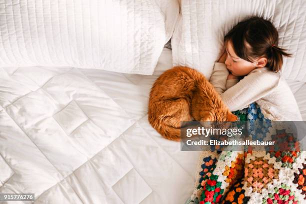 girl having a nap on a bed with her cat - cats on the bed stock pictures, royalty-free photos & images