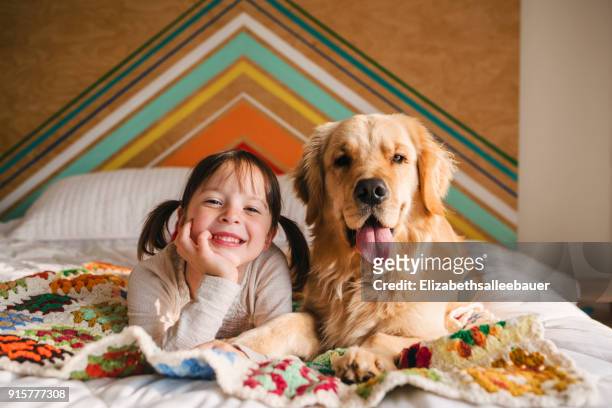 girl lying on a bed with her golden retriever dog - golden retriever stock pictures, royalty-free photos & images