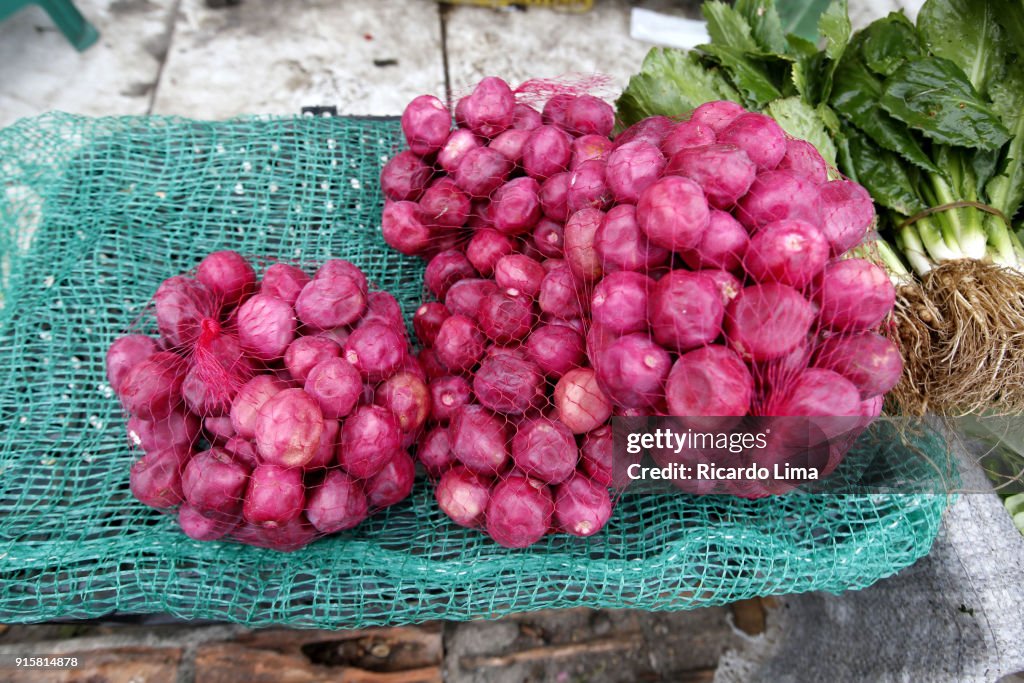 Red Cocoplum (Crysobalanus icaco).