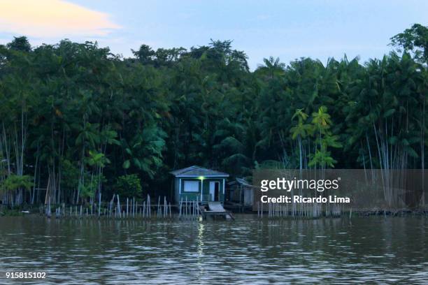 amazon river, para state, brazil - river amazon stock-fotos und bilder