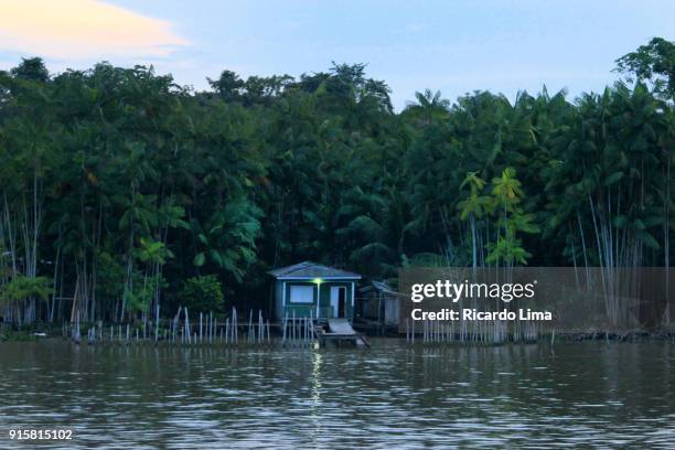 amazon river, para state, brazil - amazon rainforest fotografías e imágenes de stock