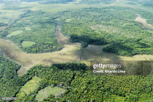marajo island - amazon rainforest deforestation brazil stock pictures, royalty-free photos & images