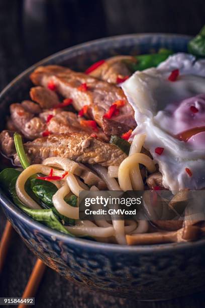 udon noodle soup with egg - udon noodles stock pictures, royalty-free photos & images