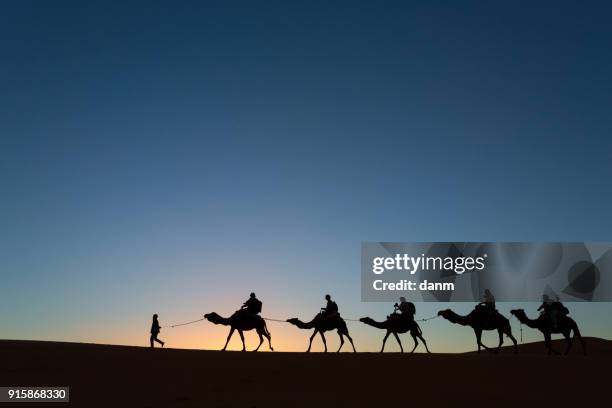 camel caravan going through the desert - camel train stock pictures, royalty-free photos & images